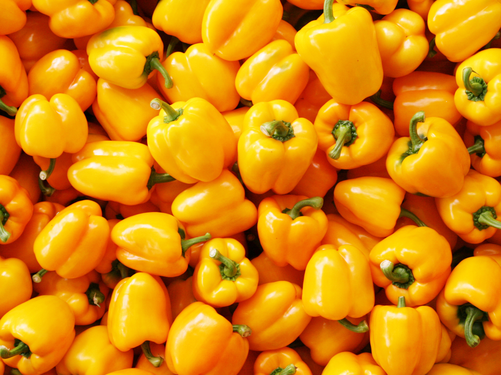 Yellow bell pepper variety back in the picture as greenhouses go colder