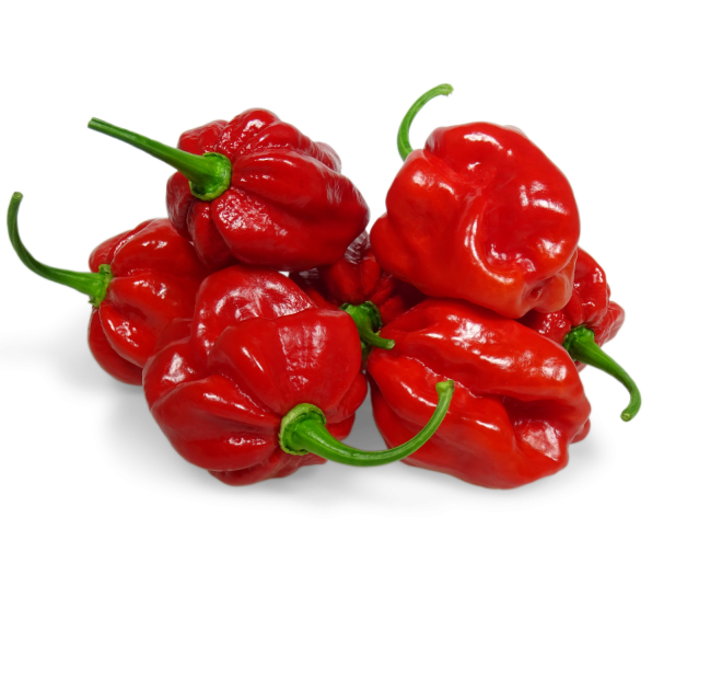 6112.1342 | habanero | NEW